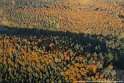 autum6
