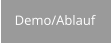 Demo/Ablauf