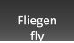 Fliegen fly