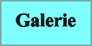 Galerie